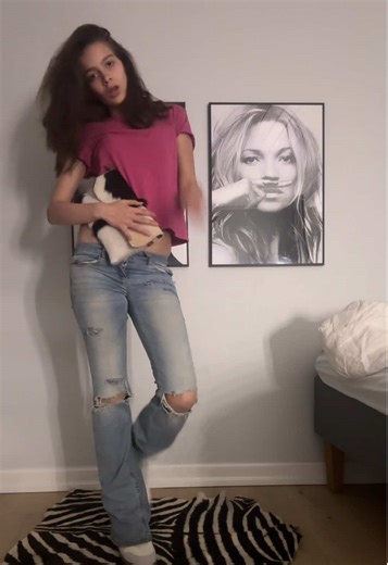 Stylish Zebra Rug in Home Decor