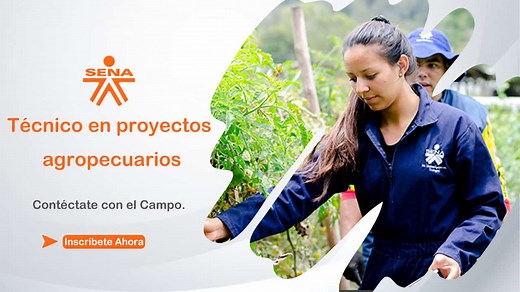 Técnico En Proyectos Agropecuarios | SENA