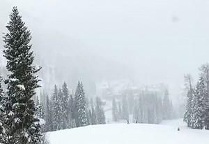 It’s official: We’ve hit over 100” of total snowfall for the season! ❄️ And more snow is on the way this week, with up to 10” in the forecast. Come get your fill of soft snow and wide open runs. 📷: 1/24 | Purgatory Resort