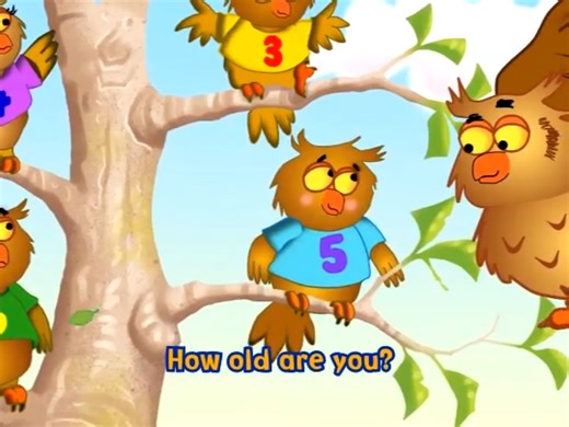 How old are you? 你几岁了？英文儿歌