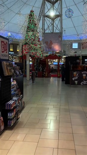 #mallvlog #malltrip #shoppingvlog #shopping #vlog #girls #christmas #christmasvlog #vlogs #shorts