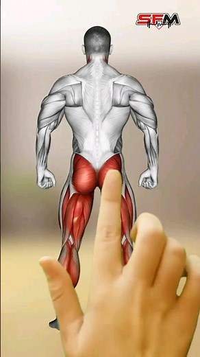 Leg Training Exercises That Strengthen Rear Leg Muscles Home Gym Version