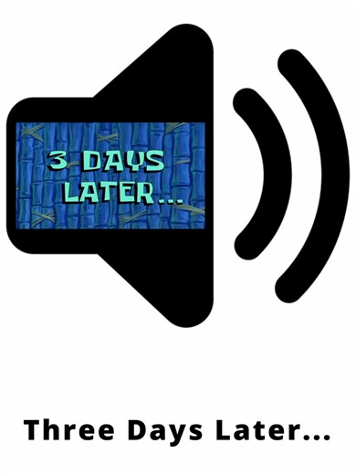 Three Days Later... Meme Sound Effect