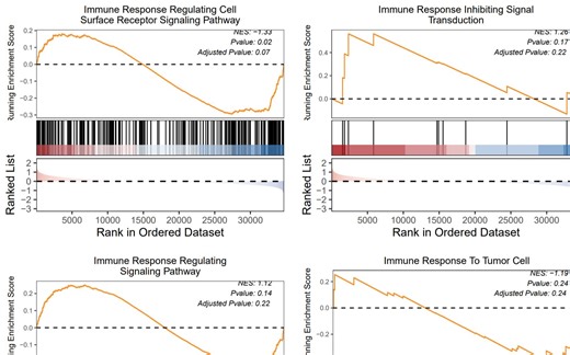 shinyapp更新了功能，可以获取msigdb数据库基因集并进行GSEA分析