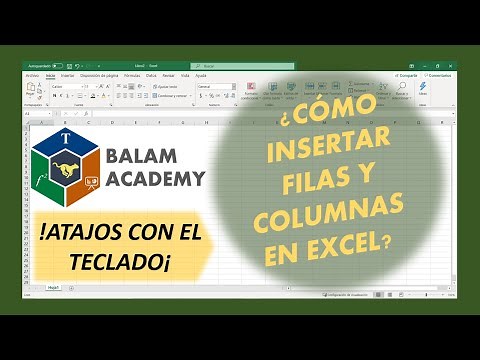 Cómo insertar columnas en Excel | Cómo insertar filas en Excel | Rápido con teclado | Balam Academy