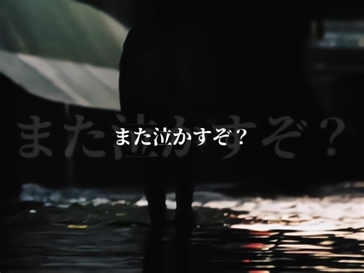 RIZIN.52メインカードPV#平本蓮 #鈴木千裕 #rizin