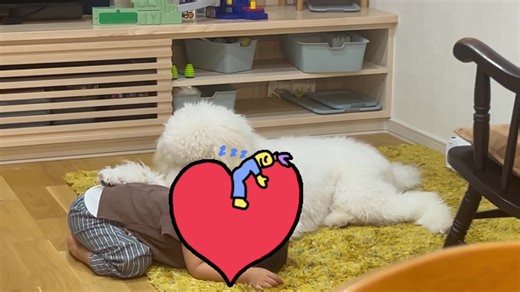 赤ちゃんと犬の楽しい時間