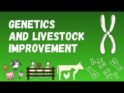 Basic Concepts of Genetics and Livestock Improvement