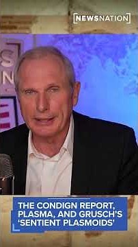 The Condign report, plasma and David Grusch's 'sentient plasmoids'