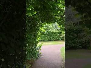 Must visit this Beautiful winterbourne house garden😍🌷(part 1)#foryou#garden#summer#flowers#nature#uk