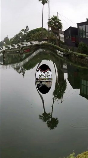 Venice Beach Travel Guide: Boardwalk vs. Canals (What to See & Do)