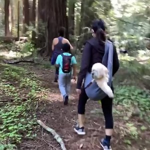 46K views · 1.5K reactions | Yesterday we went on a 5.5 mile hike in beautiful Aptos California. Our 2 hiker boys quickly became 2 sleeper boys after this day of adventure. | Anjelah Johnson-Reyes | Facebook