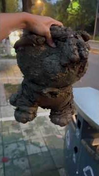 Cleaning Dirty Teddy Bear With Toothbrush Glare washing bear Restoration of torn bear Broken ASMR🤯😭🧼