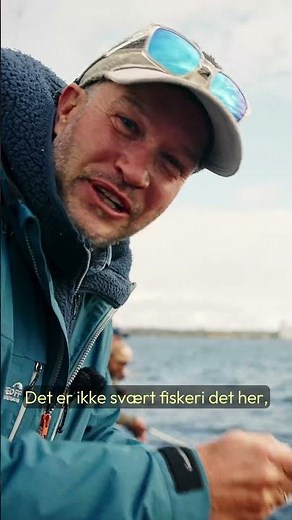 Friskrøget sildehappere – fanget og tilberedt på båden