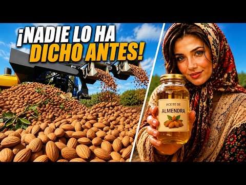 Inside the Massive Almond Industry – From Farming to Salted Almonds & Sweet Toffee