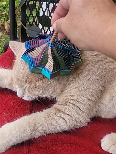 Viral tiktokshop fidget 10 out of 10 . Coolest sensory toy #fidgets #fidgettoys #topseller #tiktokmademebuyit #freeshipping