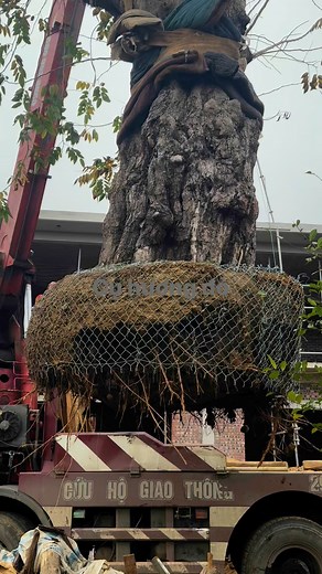 Gỗ Tâm Việt on Reels