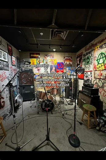 we rlly want a mix gender band but tbf we js need a guitarist, drummer or bassist grr #2000s #band #xybca #fyp #viral