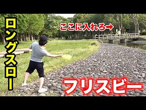 Throw the Frisbee into the net from there.