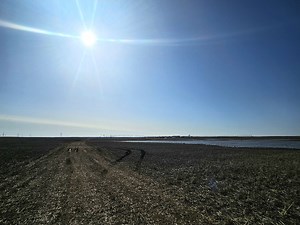 RealAg Radio: Sustainability recommendations, PMRA transformation, and inflation rate target, Apr 10, 2024