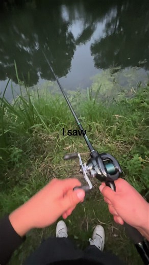 Mission failed…😅🎣 #fyp #angeln #shimano #baitcaster #viral | bait caster