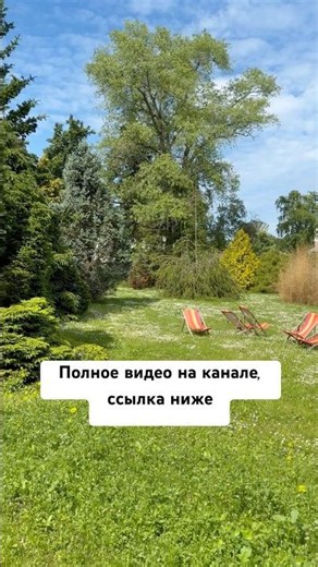 Ботанический сад, который меня покорил. Шик, блеск. Часть 1. #сад #conifers