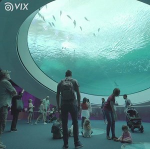 429K views · 3.3K reactions | This museum in Miami is changing the way we experience science! Phillip and Patricia Frost Museum of Science | VIX Explore | Facebook