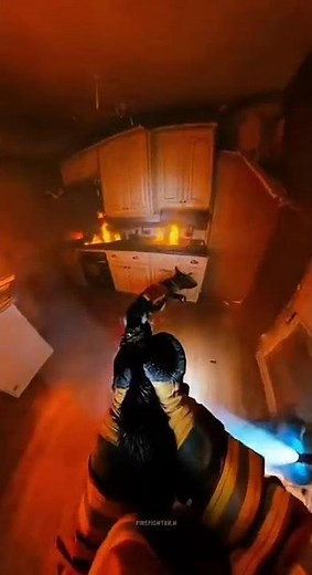 A Firefighter Rescue A Cat But His Beloved Dog Doesn't Survive!