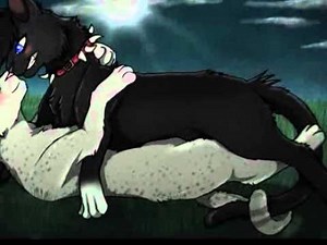 Ashfur X Scourge