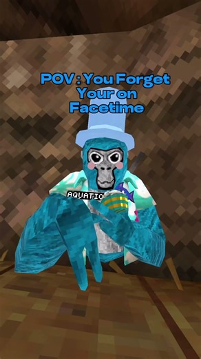 POV : You forget your on FaceTime #gorillatag #vr