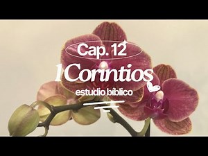 1 Corinthians Chapter 12 — Bible Study (Spiritual Gifts)