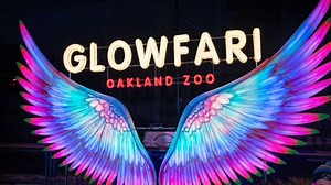 Tariffs making Oakland Zoo's 'Glowfari' tickets more expensive this year