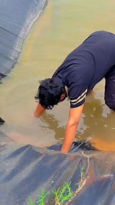 🌱 #farm | Chahar Nehra Lalita