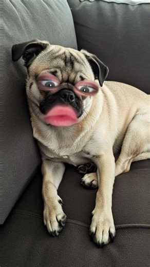 I swallowed a golf ball. I can’t poop.