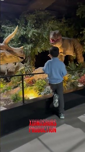 Indoor #DinoExpo , Animatronic #Trex & #Triceratops Amuse Kid