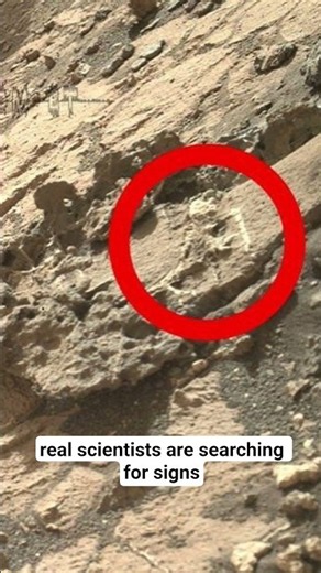 Mars Rover Found Life On Mars #shorts