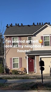 What y’all think is in there ? 😳😳 | My Crazy Life