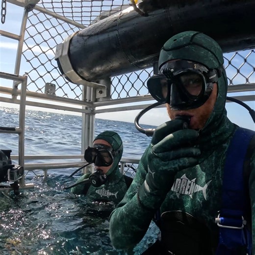 I dont have a word to say | Strick & Fran