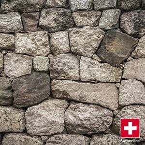 1.3K views · 61 reactions | The Lion Monument in Lucerne belongs to Switzerland's  most famous mouments and is visited by more than a million people annually. But do you also know about its history? | About Switzerland | Facebook