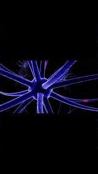 The Universe Never Forgets You.