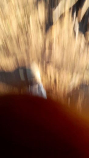 nickalus aka gaza on TikTok