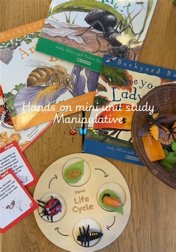 This is such a fun addition to our spring learning. What kid doesn’t love to learn about bugs 🐛 #spring #bugs #homeschool #homeschooling #homeschoolmom @Joycat Toys