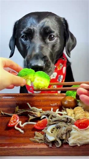 There are so many different kinds of food today! #OhMyGodItSmellsSoGood #YouCanReadItAllOn