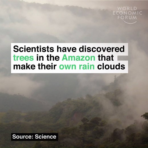 4.2M views · 24 reactions | They baffled scientists. Read more:...