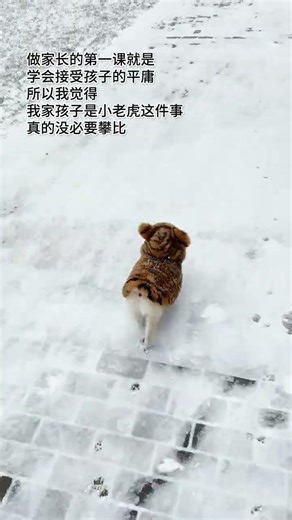 How a Little Dog Turns into a Snowy Cerebellar Axe