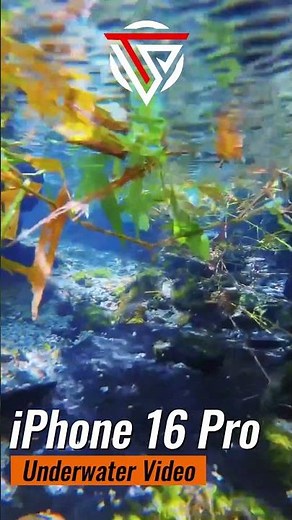 iPhone 16 Pro Underwater Video 🌊📱 | Stunning Water-Resistant Footage!