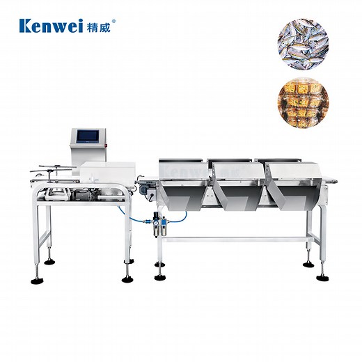 [Hot Item] Advanced Multi-Level Automatic Check Weigher Weighing System for Efficient Packaging Solutions