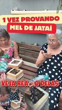 Mel de JATAÍ direto da caixinha, EXPERIÊNCIA ÚNICA, elas ficaram encantadas com sabor#jatai#mel#bee