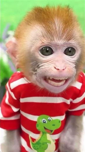 Monkey Baby Shark | Nursery Rhymes & Kids Songs |Bobby Kids Songs #monkey #monkeybaby #animalshome