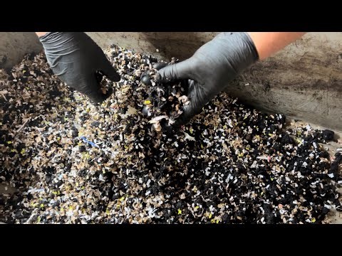 Using Pre-Compost to Make Prepared Bedding (What?!)